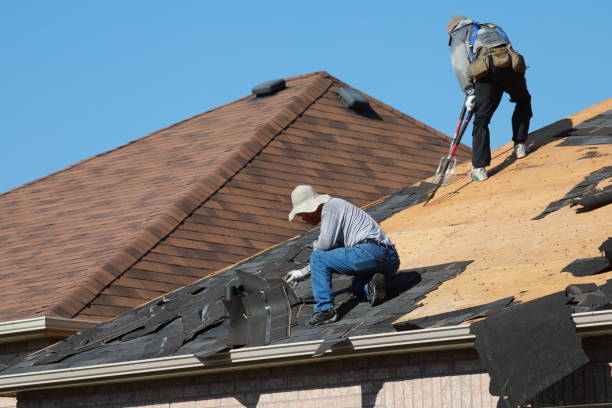 Best Roof Moss and Algae Removal  in Jerome, IL